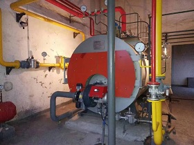 河南鹿邑酒廠一噸燃?xì)庹羝仩t